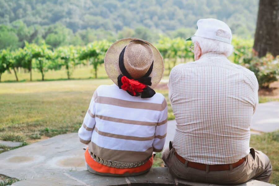 Ginko – za pamćenje i cirkulaciju